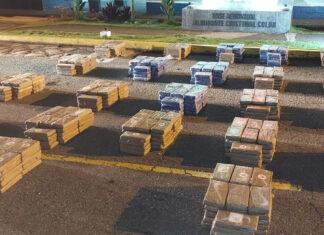 Panamá decomisa droga en contenedor que salió de Honduras con destino a Europa
