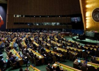 Honduras votó a favor para que la ONU suspendiera a Rusia del Consejo de Derechos Humanos