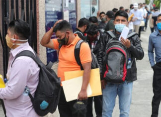 Economistas instan al gobierno hondureño a generar fuentes de empleo y atraer la inversión