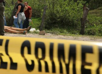 Más de 60 mujeres han perdido la vida de forma violenta durante el 2022 en el territorio nacional