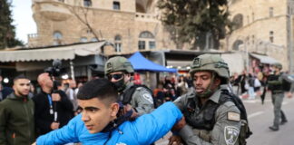 Honduras lamenta los ataques de Israel contra civiles en palestina