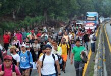 Nueva caravana migrante se entrega a autoridades mexicanas tras 40 kilómetros