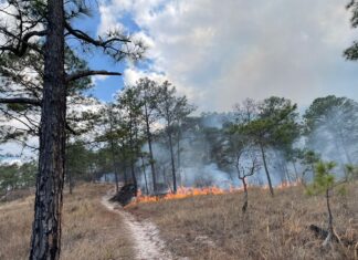 Incendio forestal en el cerro de El Cimarrón continúa incontrolable