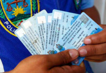 Investigan a policías de Tránsito por vender licencias de conducir falsas