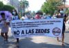 Vía recurso de inconstitucionalidad o consulta popular serían derogadas las ZEDES