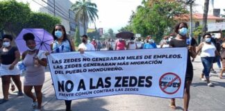 Vía recurso de inconstitucionalidad o consulta popular serían derogadas las ZEDES