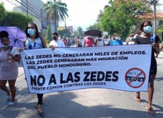 Vía recurso de inconstitucionalidad o consulta popular serían derogadas las ZEDES