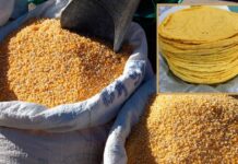 A dos lempiras se cotizaría cada tortilla en las próximas semanas ante alza en precio del maíz