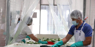 Las exportaciones de mercancías generales registraron un alza del 35.3% en el primer trimestre del año