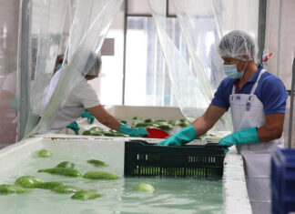 Las exportaciones de mercancías generales registraron un alza del 35.3% en el primer trimestre del año