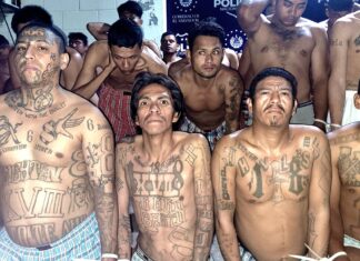 El Salvador reporta 26.755 capturas en régimen excepción, la mayoría jóvenes