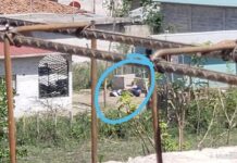 Tiroteo entre policías y miembros de una banda criminal dejó un policía muerto y otro herido en Guayape, Olancho