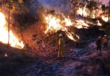 Más de 78.600 hectáreas de bosque han sido afectadas por los incendios en Honduras