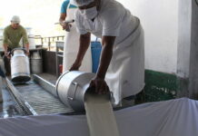 Productores de leche en Olancho paralizan las entregas a las plantas procesadoras