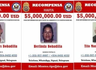 Capturan a la extraditable Herlinda Bobadilla y matan a uno de sus hijos, EE. UU. daba $5 millones por información sobre su paradero