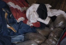 Capturan a cuatro individuos en posesión de 100 libras de marihuana en Atlántida