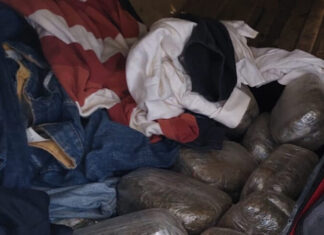 Capturan a cuatro individuos en posesión de 100 libras de marihuana en Atlántida