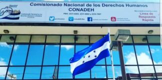 El Congreso Nacional nombra una comisión para investigar a la titular del Conadeh