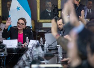Los 100 días de Xiomara fueron para solucionar el “desastre” dejado por el gobierno anterior, según director del INE