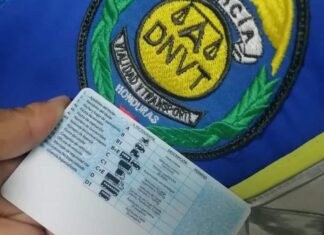 La DNVT emitirá nuevo permiso de conducir en sustitución de licencia