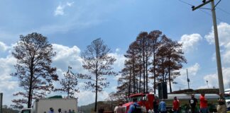 El Cohep pide buscar una solución al paro de transporte de carga pesada ya que, las pérdidas son millonarias