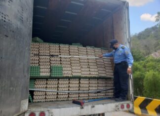 Decomisan 15 mil cartones de huevo de contrabando en el occidente de Honduras