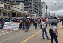Unos 14,000 maestros interinos quedarían sin plazas al finalizar este mes, dice diputada