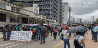 Unos 14,000 maestros interinos quedarían sin plazas al finalizar este mes, dice diputada