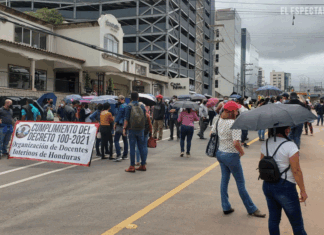 Unos 14,000 maestros interinos quedarían sin plazas al finalizar este mes, dice diputada