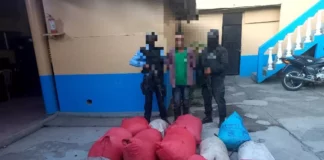 Policía detiene a un hombre que transportaba 14 sacos de supuesta marihuana