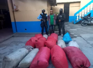 Policía detiene a un hombre que transportaba 14 sacos de supuesta marihuana