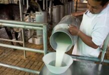 Industria y productores acuerdan incremento de 2 lempiras al precio de la leche