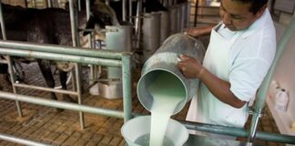 Industria y productores acuerdan incremento de 2 lempiras al precio de la leche
