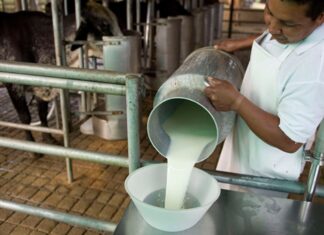 Industria y productores acuerdan incremento de 2 lempiras al precio de la leche