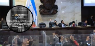 Decreto que da independencia de acción penal pública a la UFERCO a todas luces es inconstitucional