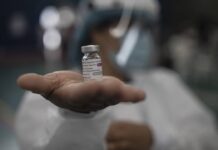 Una posible vacuna oral contra el Covid-19 protege en hámsteres