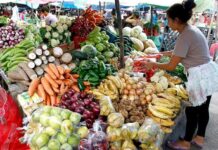 El CN revisará incrementos a la canasta básica argumentados en precios de los combustibles