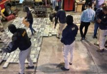 Unos 4,000 kilos de «coca» y 10 narcolaboratorios decomisados en primeros 100 días de Gobierno