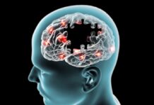 Las células “estresadas” pueden abrir una vía frente a las demencias