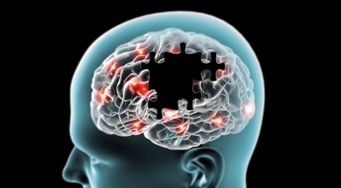 Las células “estresadas” pueden abrir una vía frente a las demencias