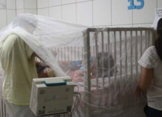 La Región Metropolitana de Salud alerta que los casos de dengue van en aumento en la capital