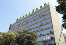 El gobierno instruye a Banadesa habilitar ventanillas para otorgar créditos a productores de granos básicos