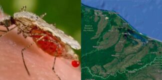 Aumenta el número de casos de malaria en el departamento de Gracias a Dios