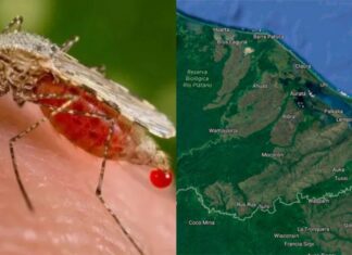 Aumenta el número de casos de malaria en el departamento de Gracias a Dios