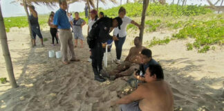 Dos migrantes hondureños mueren tras el naufragio de una embarcación en el suroriente de México