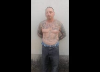Capturan a dos integrantes de la MS-13 de origen salvadoreño en Valle y Lempira