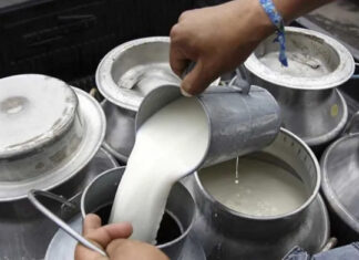Aumentan 11 lempiras al precio de la producción de leche para los meses de junio y julio en el país
