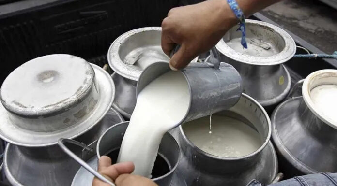 Aumentan 11 lempiras al precio de la producción de leche para los meses de junio y julio en el país
