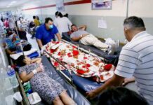 Médicos advierten que los casos de dengue van en ascenso en el país