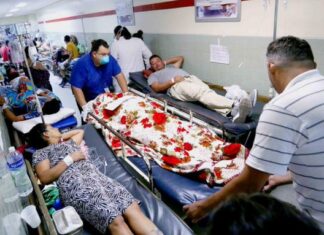 Médicos advierten que los casos de dengue van en ascenso en el país